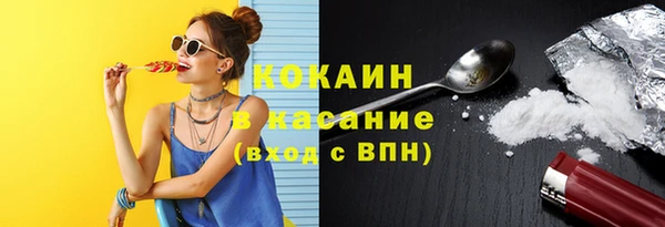 дмт Аркадак