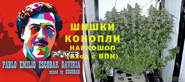 эйфоретик Армянск