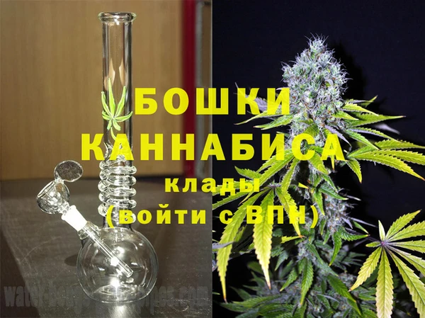 дмт Аркадак